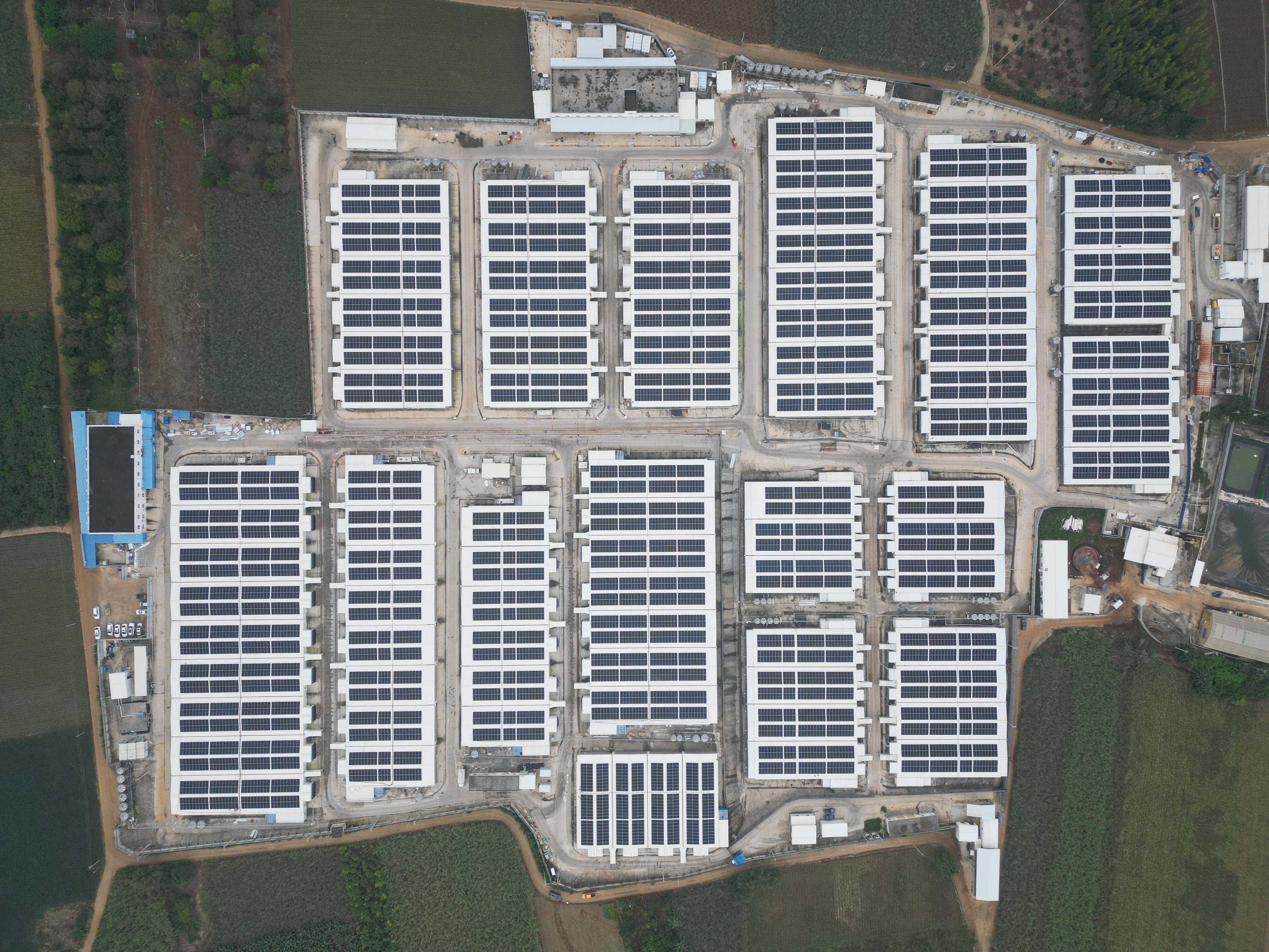 388vip太阳集团电力    “为您的能源自由而来”